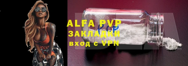 индика Волоколамск