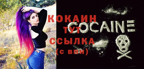 индика Волоколамск