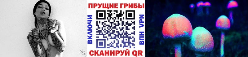 Купить закладки  Гусев  Псилоцибиновые грибы мухоморы 