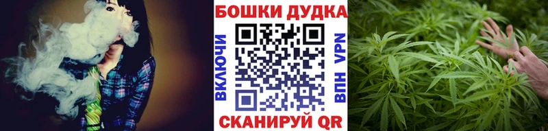 Шишки марихуана OG Kush  Купить закладки  Гусев 